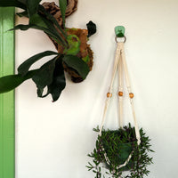 Fern Green S.R. Anywhere Hook holding a macrame plant hanger next to a staghorn fern on a white wall.