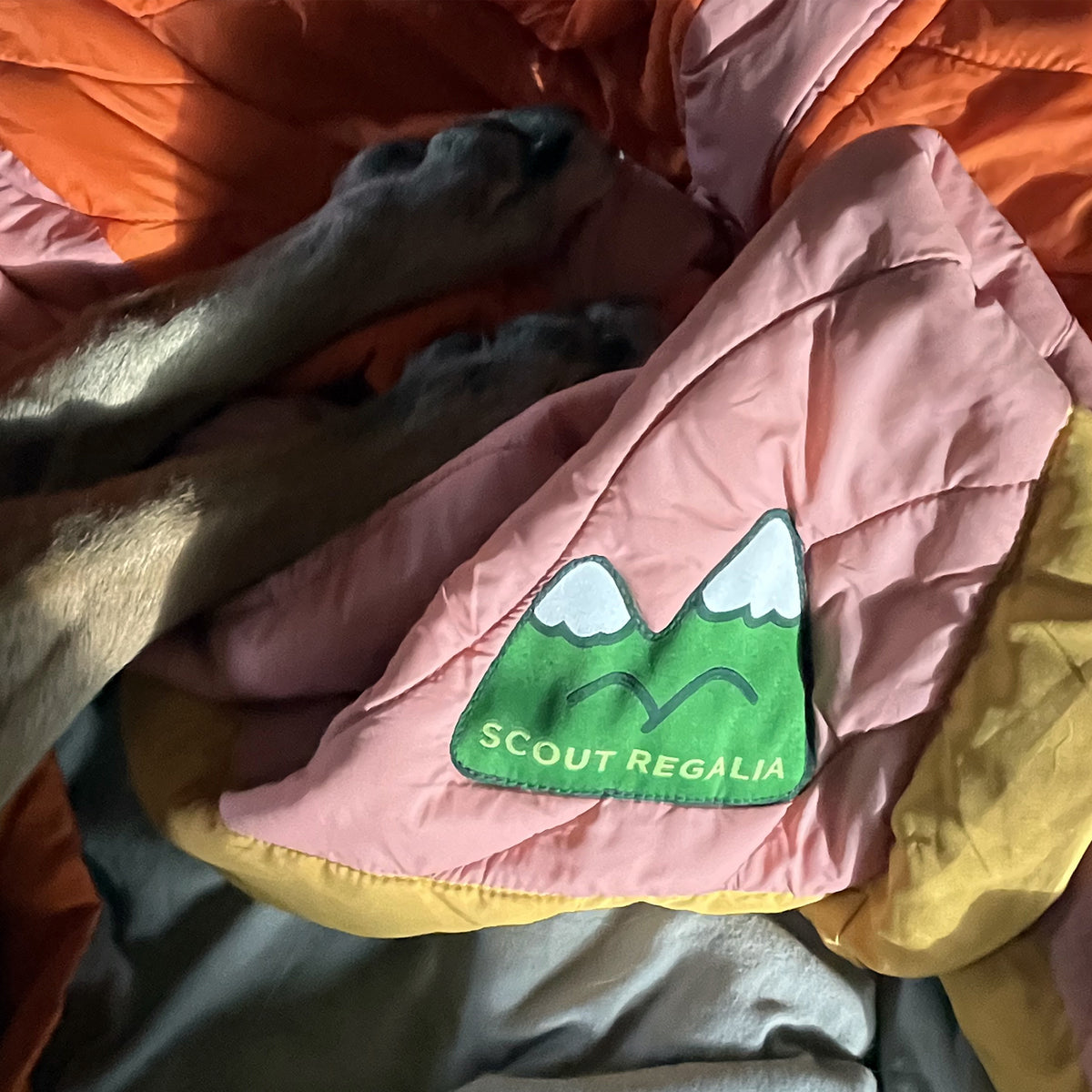 A scout regalia logo in green on a pink blanket with dog paws next to it.