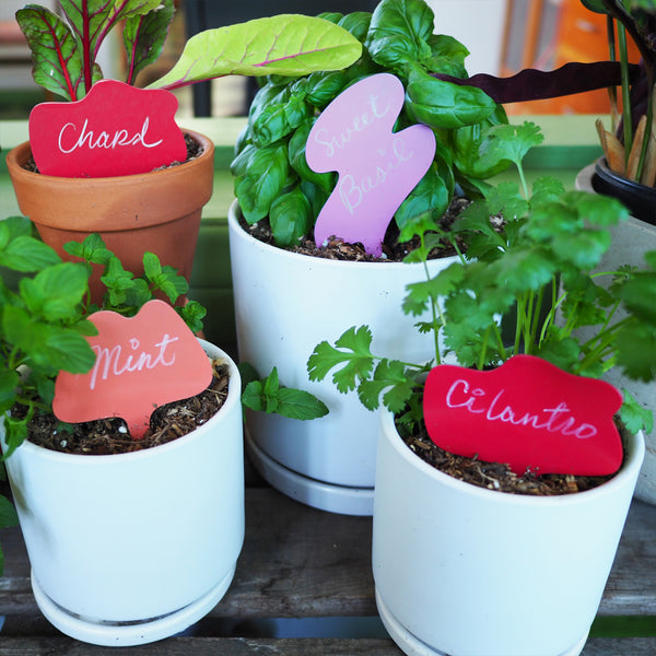 SR GARDEN ID TAGS