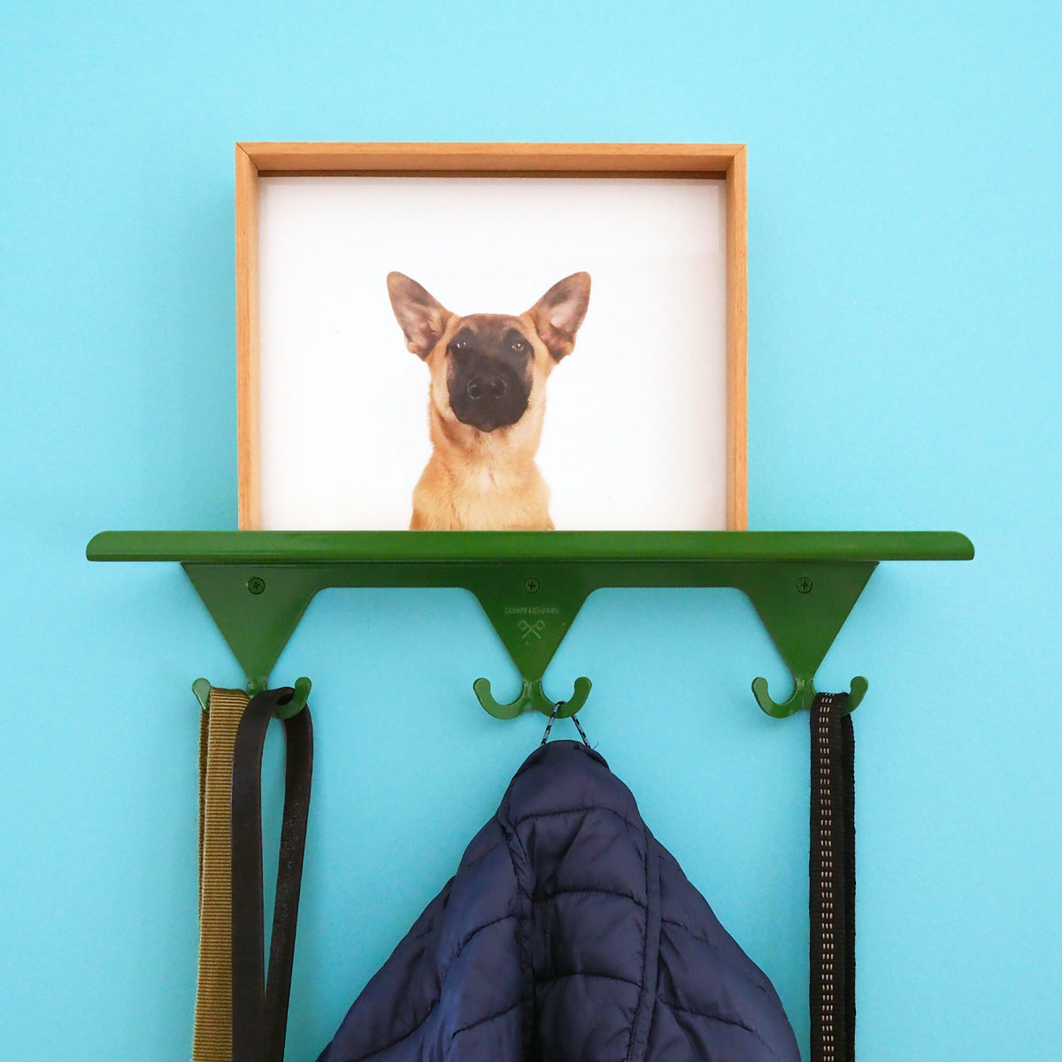 Fern Green S.R. Wall Rack with a portrait of Penny The Scout, the best dog on earth, on the shelf. Dog leashes and a jacket hang on the hooks.